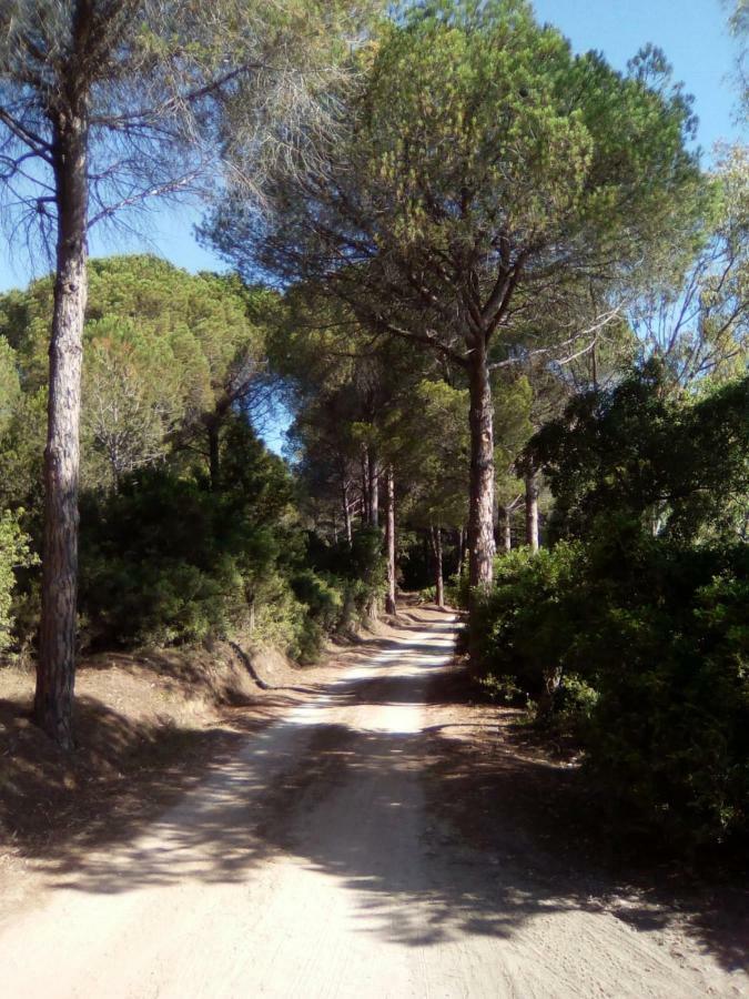 Appartamento Vacanze Sardegna シニスコーラ エクステリア 写真